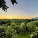 Garden & Pool فيلة تيرانا