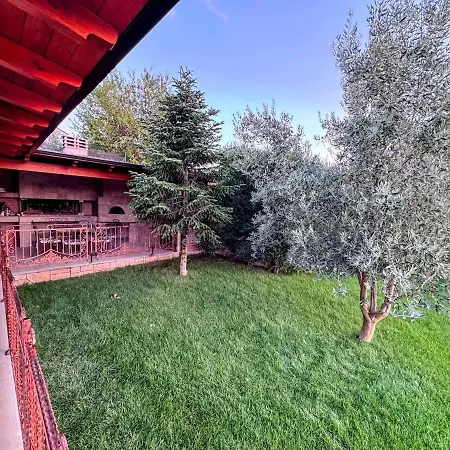 Villa Garden & Pool