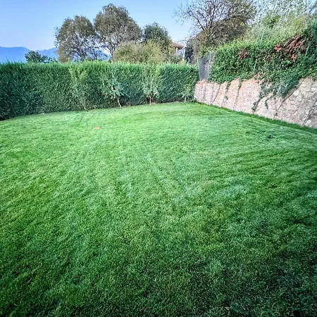 别墅 Garden & Pool 地拉那