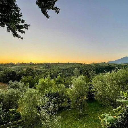 Garden & Pool 别墅 地拉那