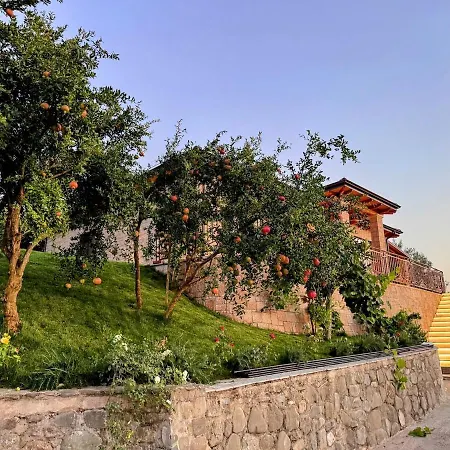 别墅 Garden & Pool 地拉那