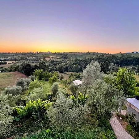 Villa Garden & Pool Tirana
