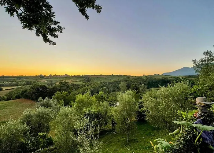 Garden Villa&pool Villa Tirana